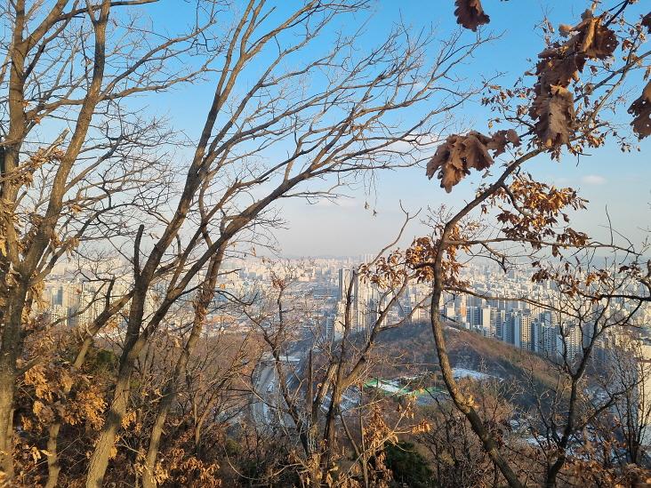 [크기변환]2안전한_새해맞이…_서구,_해맞이_장소에_안전대책운영본부_운영_(2).jpg 이미지